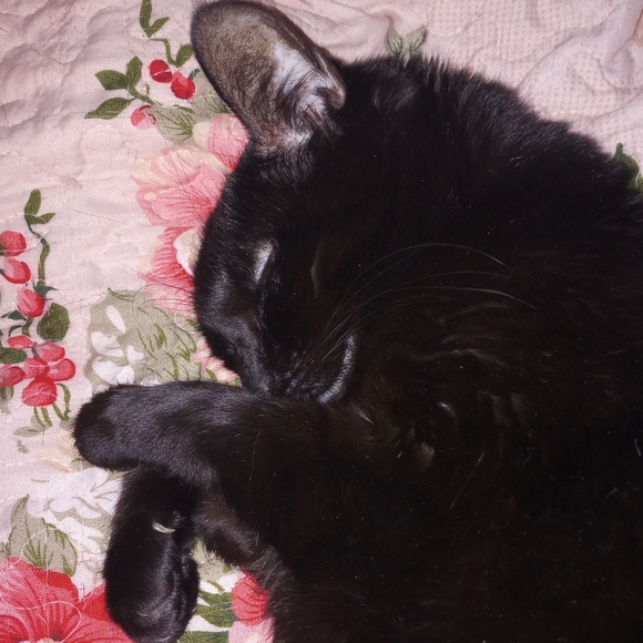 NoraBlue10 Is Live + Like to be notified - Picture 9 of 10